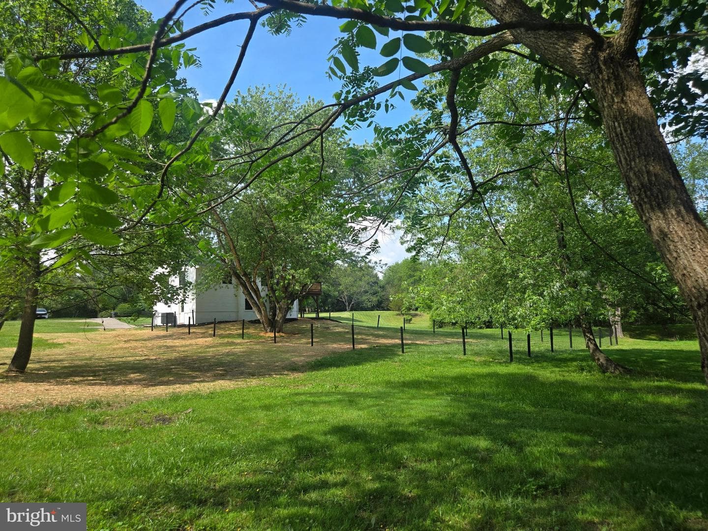 11 Prince Edwards Drive photo 15