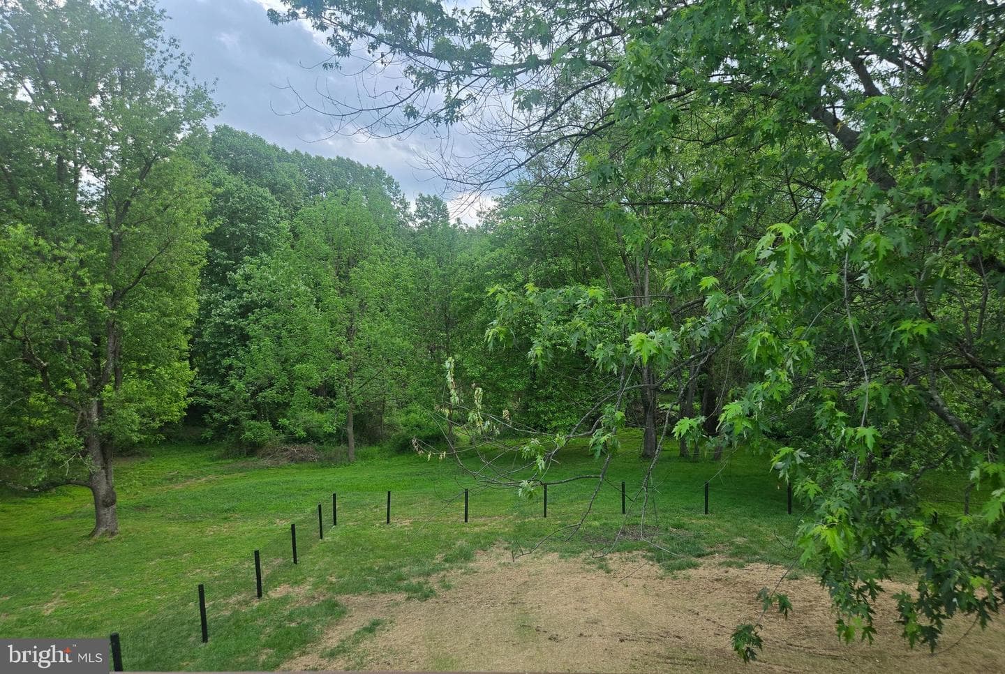 11 Prince Edwards Drive photo 18