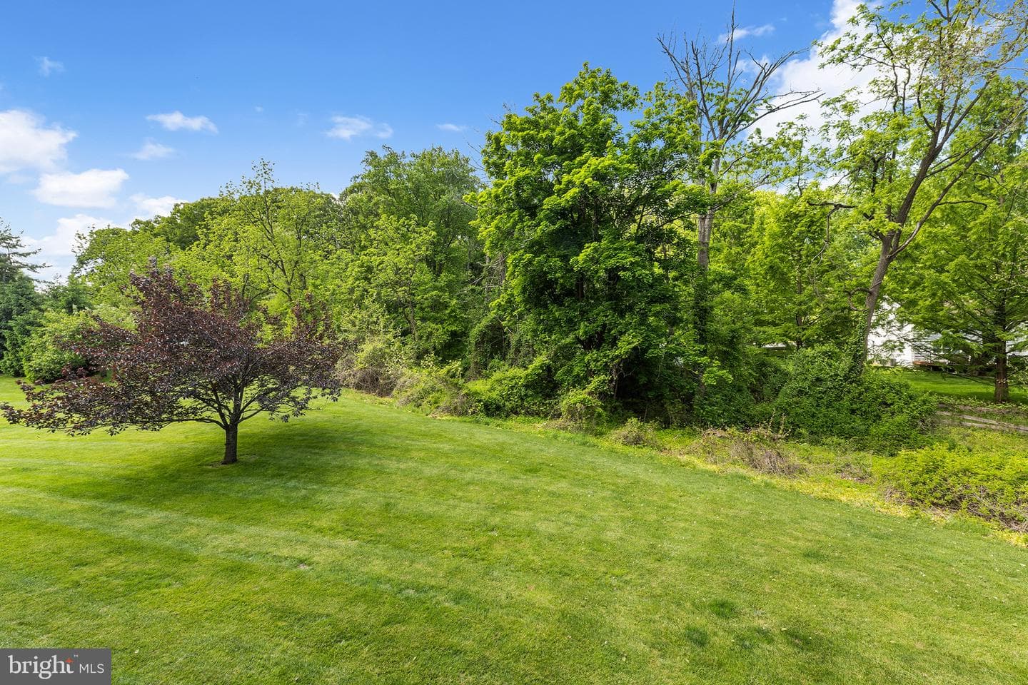 568 Foxwood Lane #568 photo 45