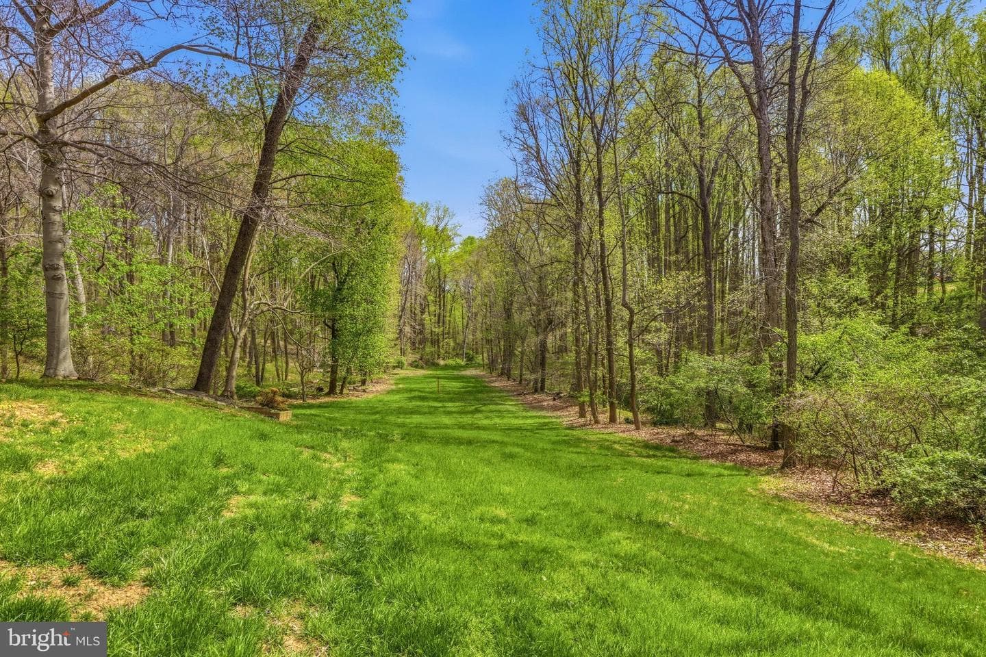 310 Buttonwood Road photo 42