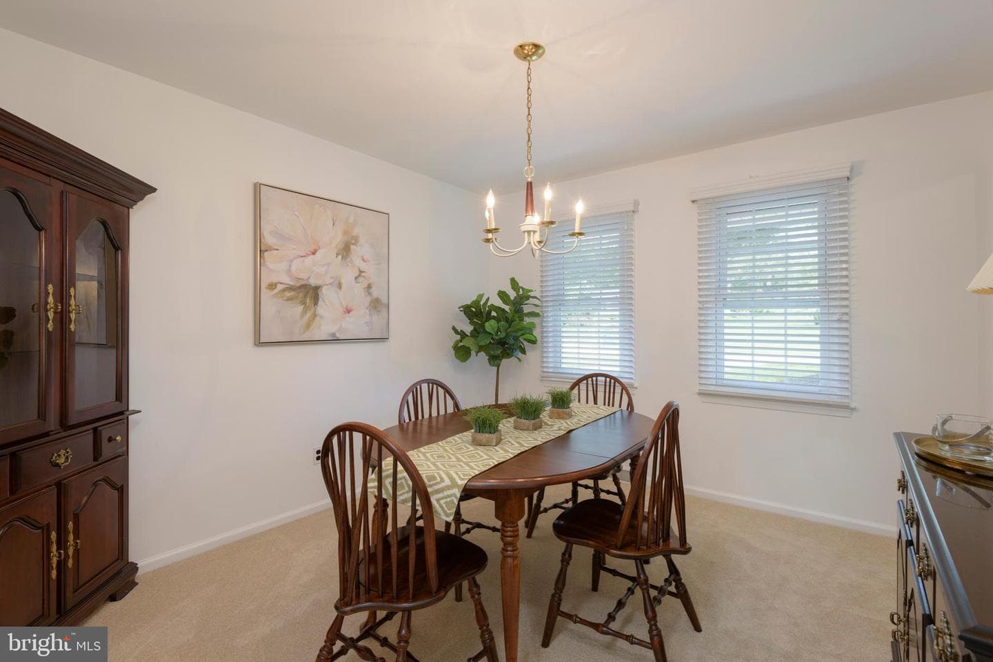 215 Elton Circle photo 10