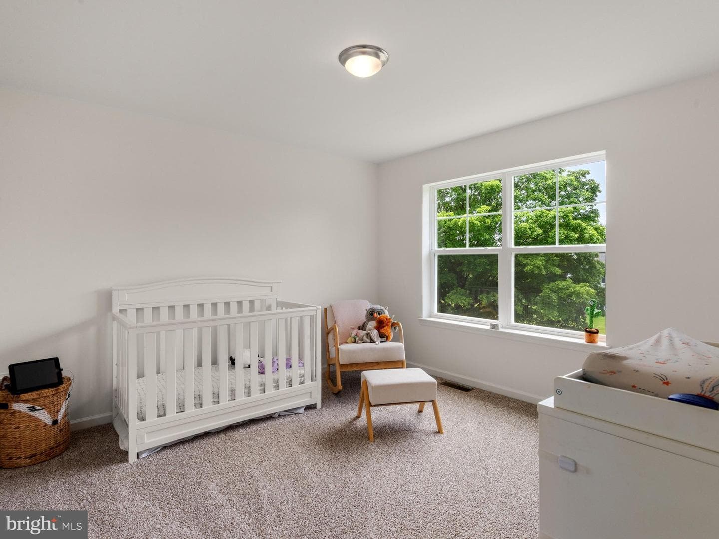 20 Fleming Drive photo 24