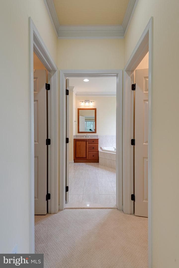 317 Hyde Park Road photo 22