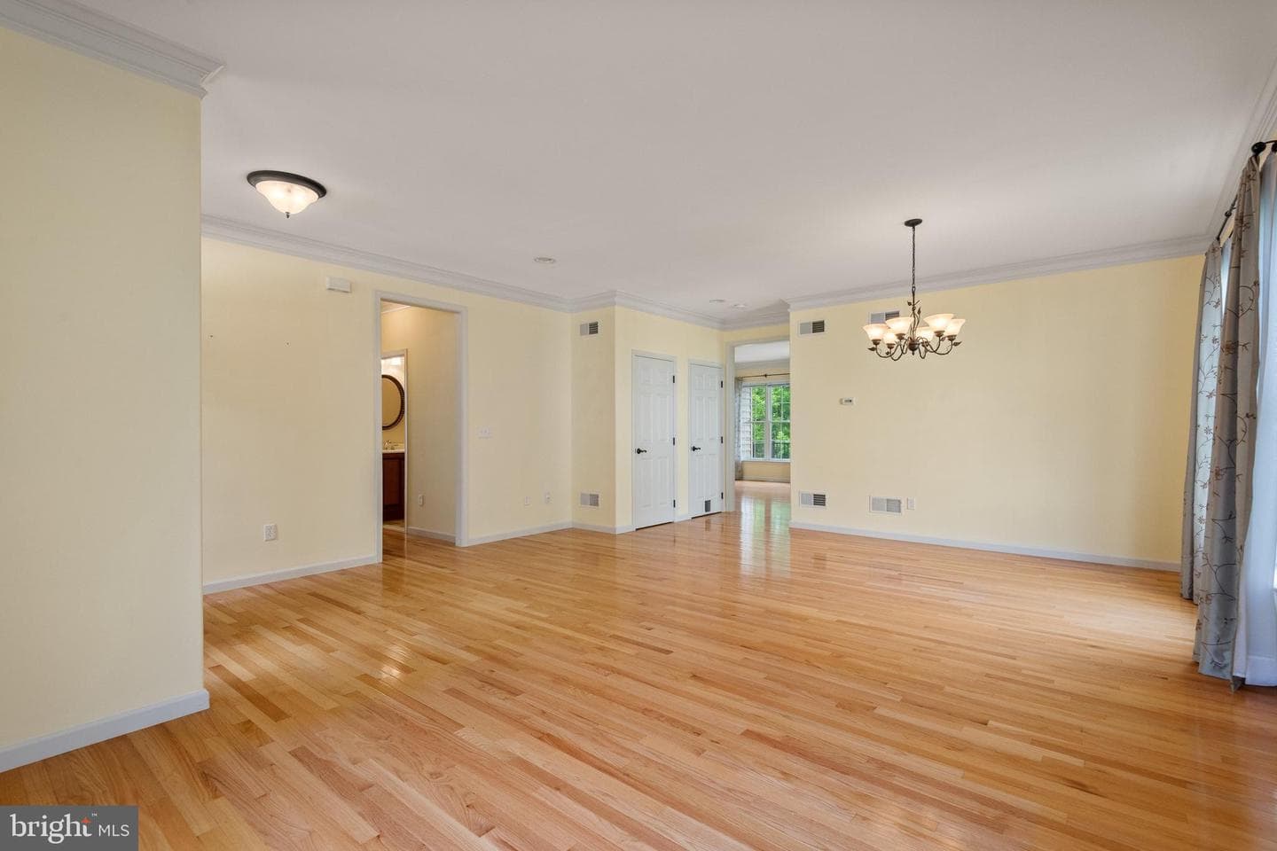 317 Hyde Park Road photo 5