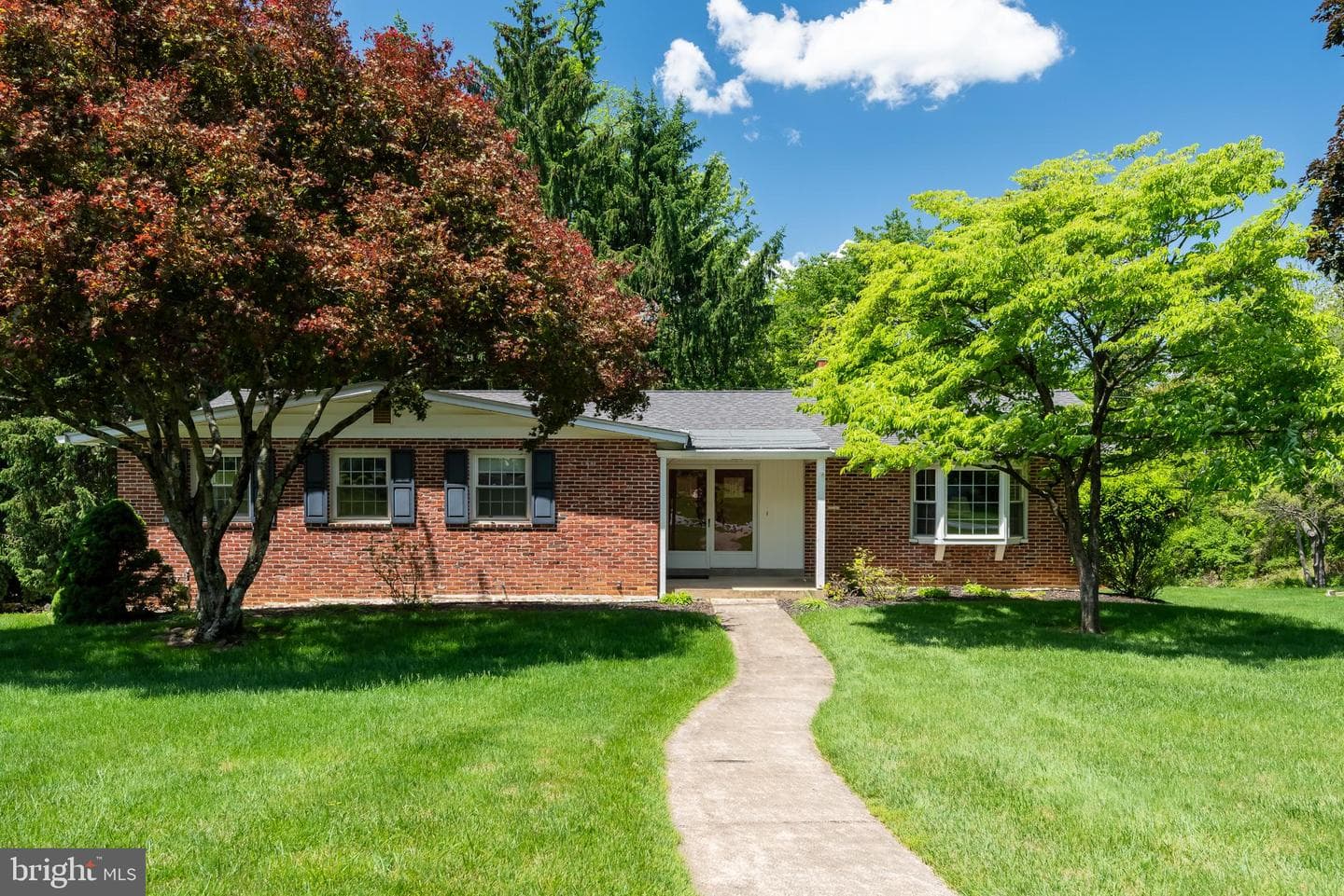 246 Friendship Drive photo 2