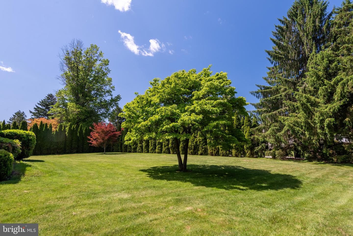 1434 Sugartown Road photo 42