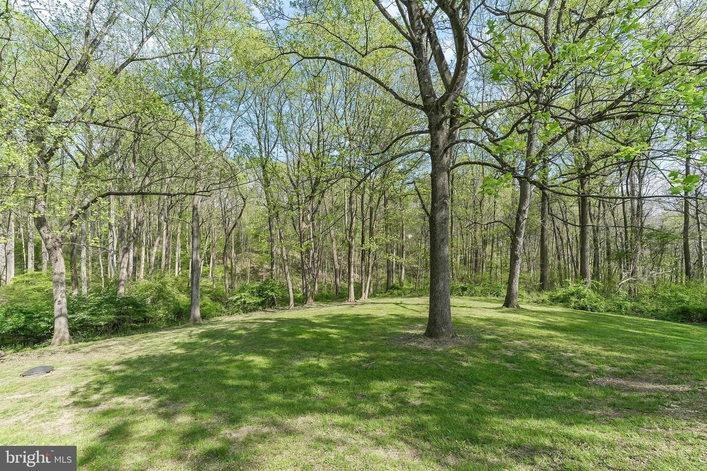 522 Ridge Drive photo 47