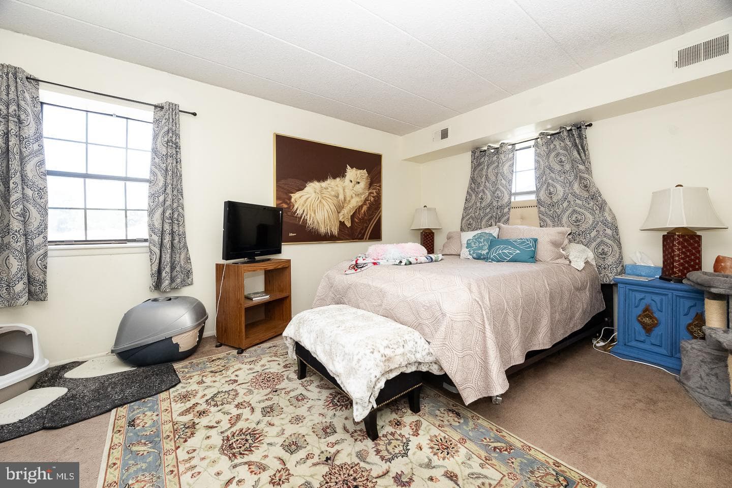 1709 Valley Drive #1709 photo 14