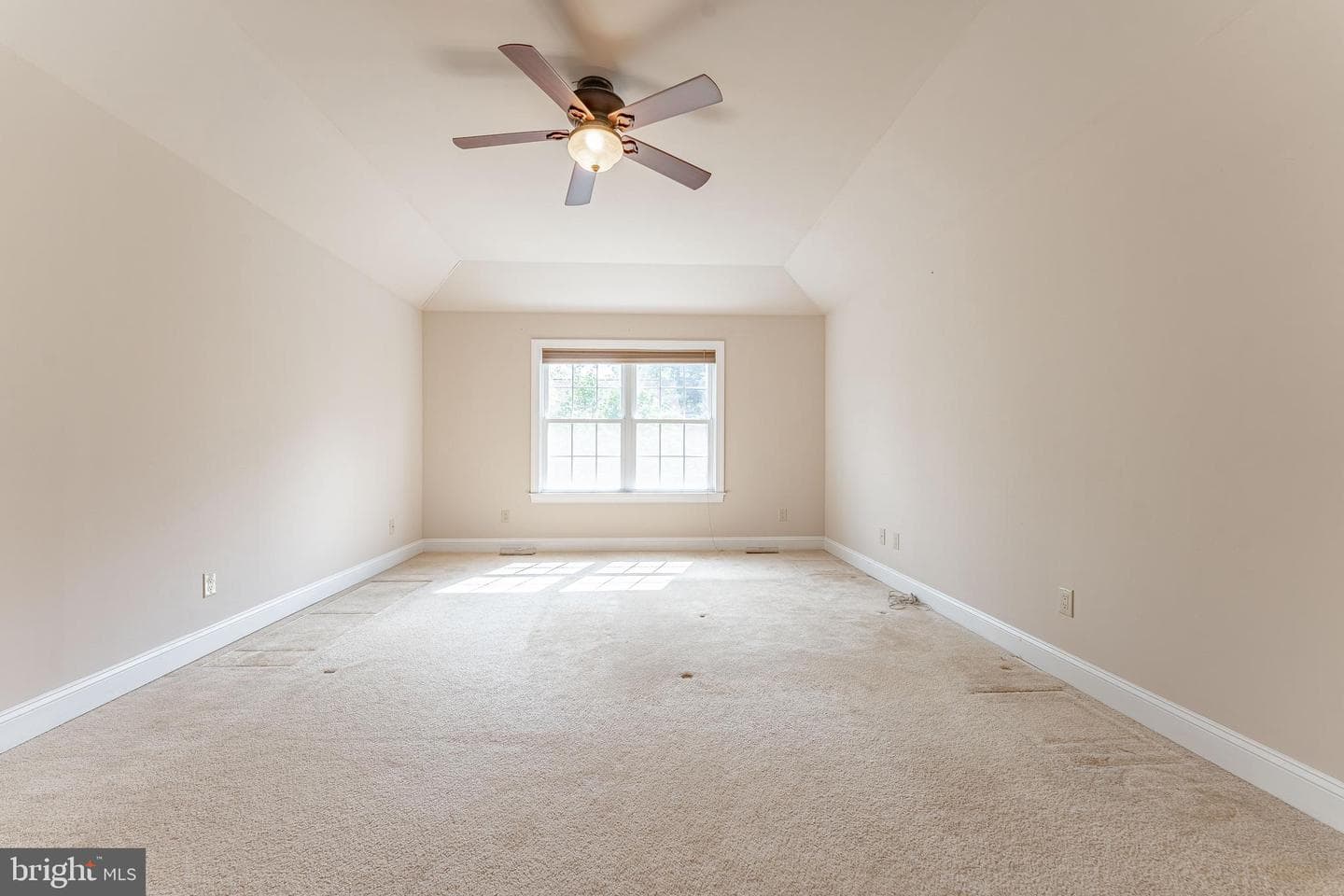 224 Hearn Avenue photo 41