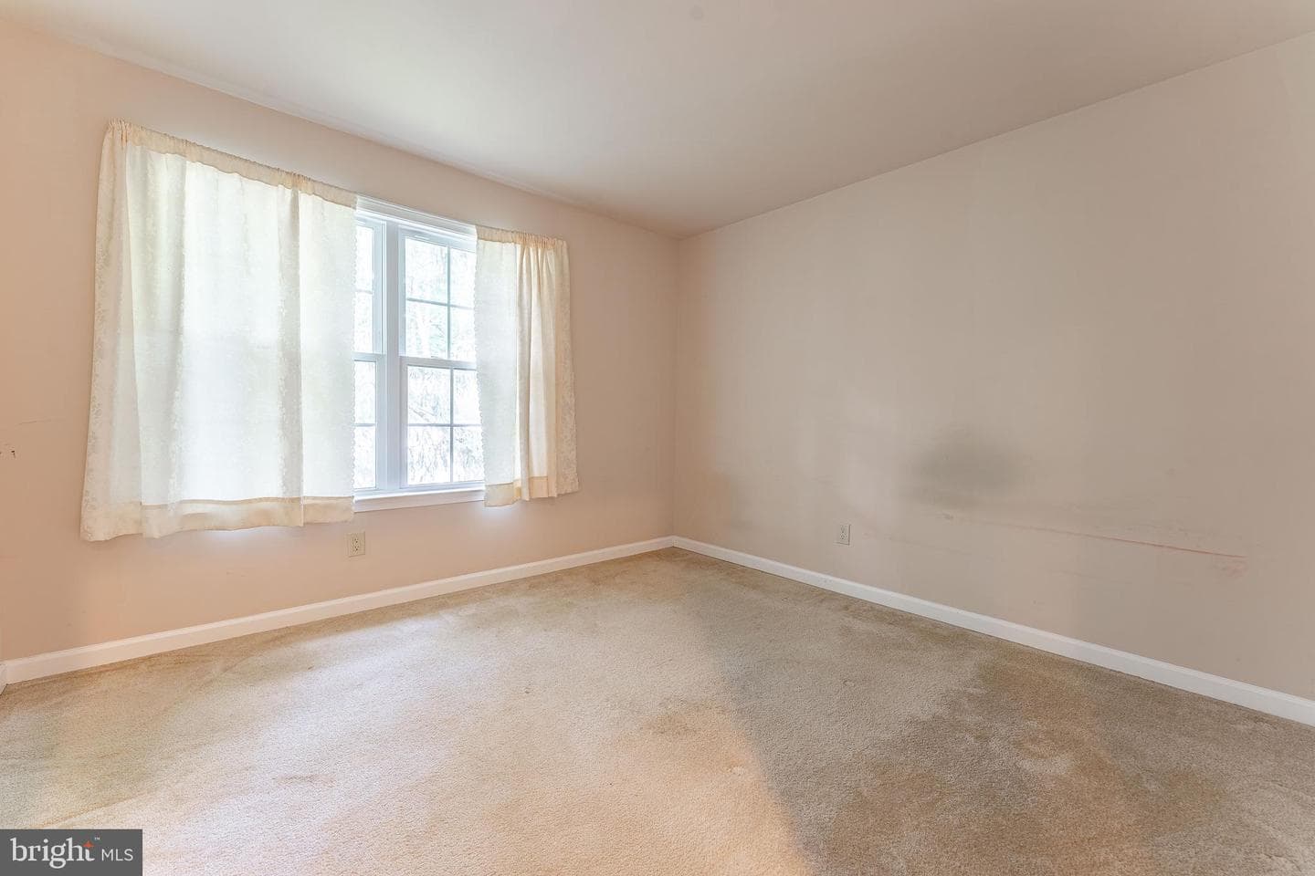 224 Hearn Avenue photo 53