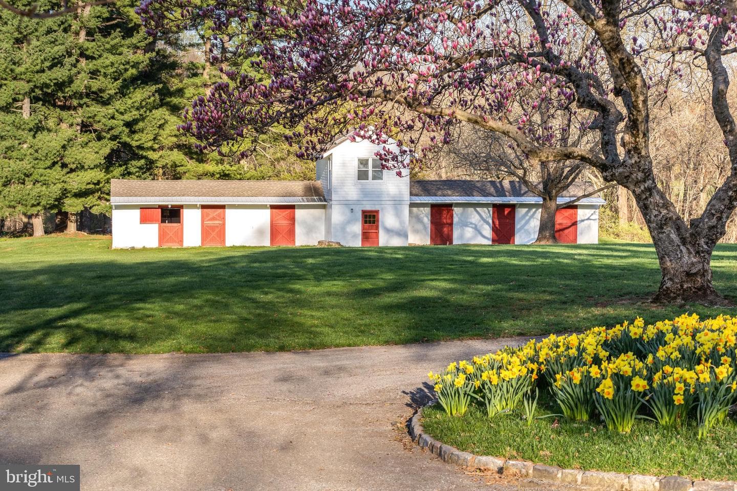 137 Davis Road photo 12