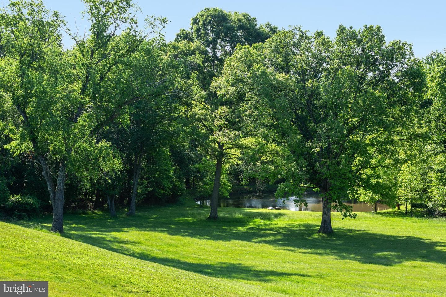 137 Davis Road photo 51