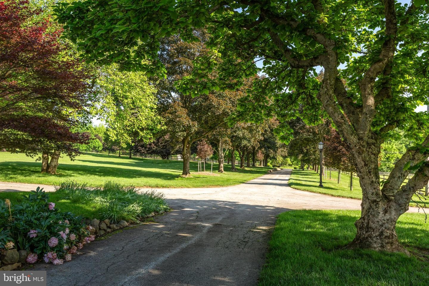137 Davis Road photo 8