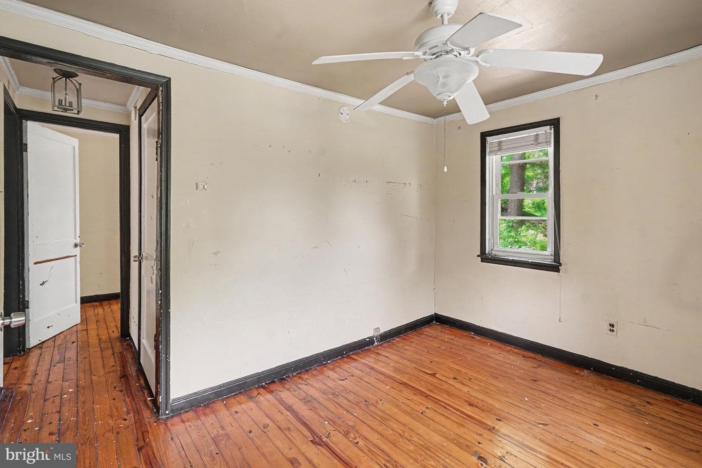 80 Boroline Road photo 16