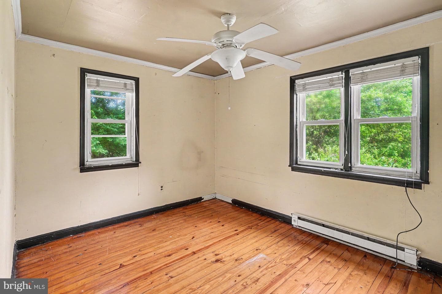 80 Boroline Road photo 17