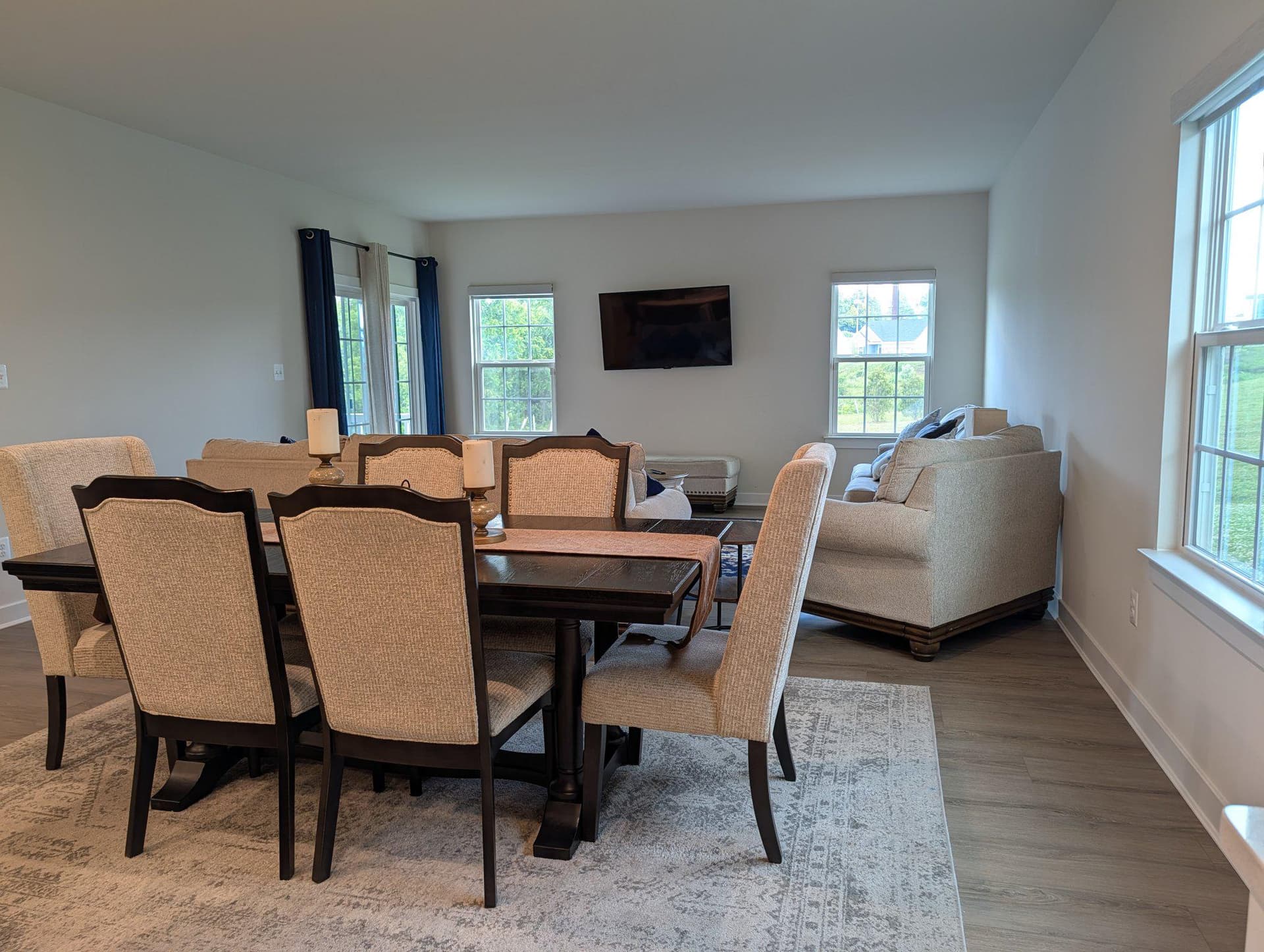 223 Letitia Manor Drive photo 14