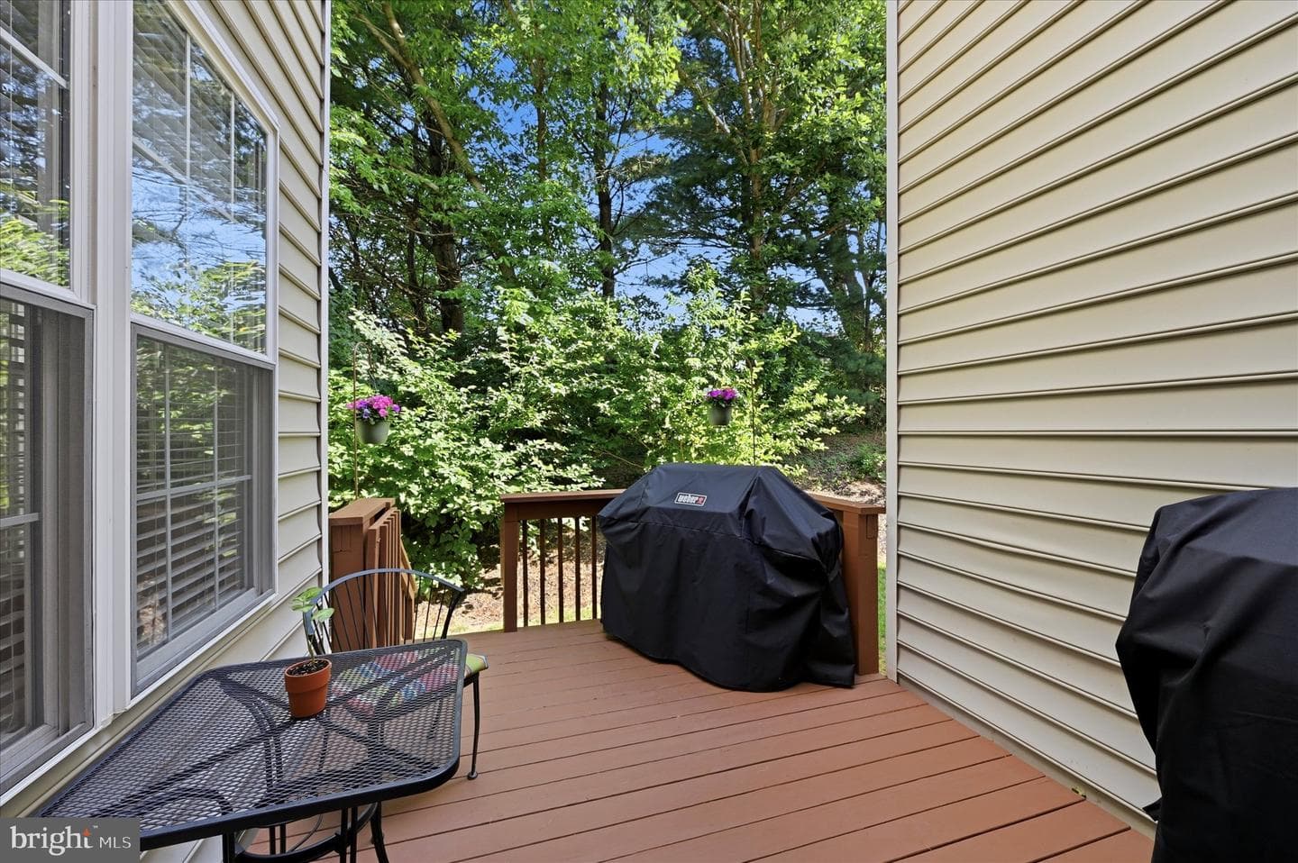 244 Cherry Lane #19 photo 25