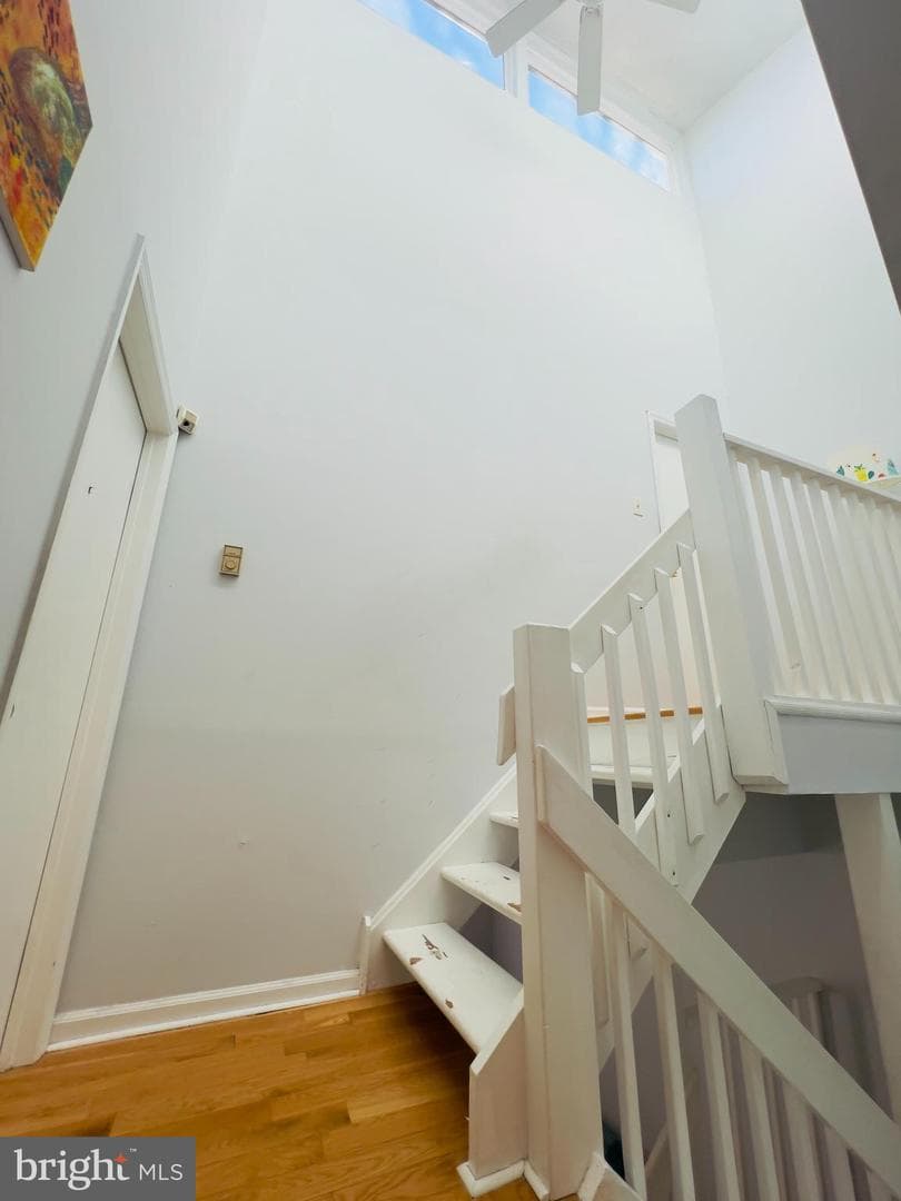 8 Knox Court photo 12