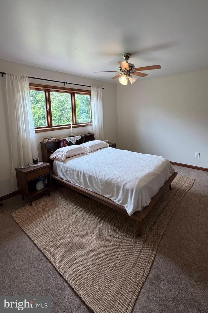 170 Lenora Lane photo 21