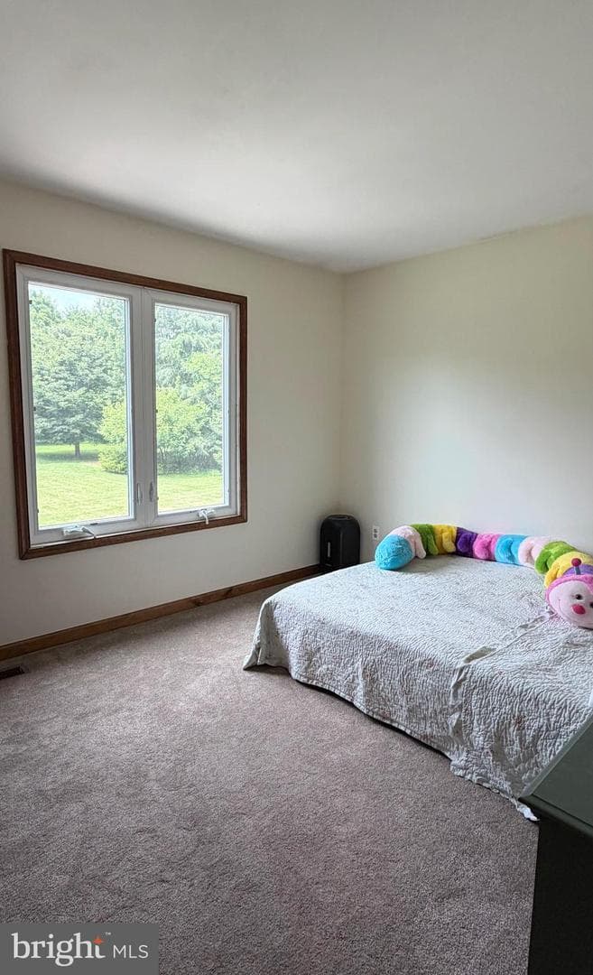 170 Lenora Lane photo 22
