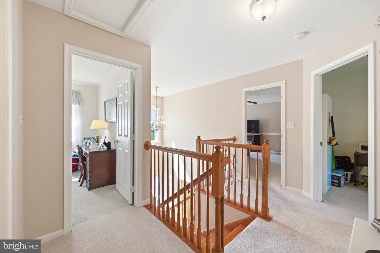 101 White Doe Drive photo 38