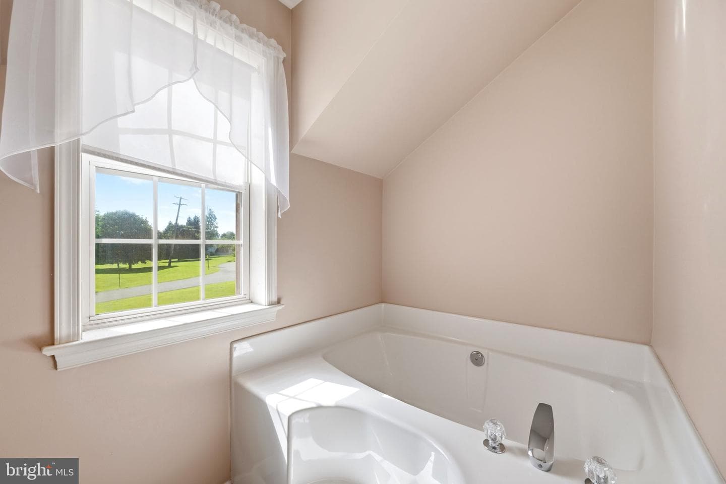 101 White Doe Drive photo 46