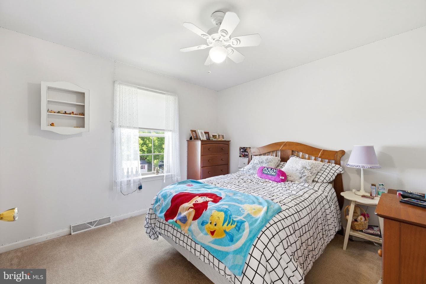 101 White Doe Drive photo 50