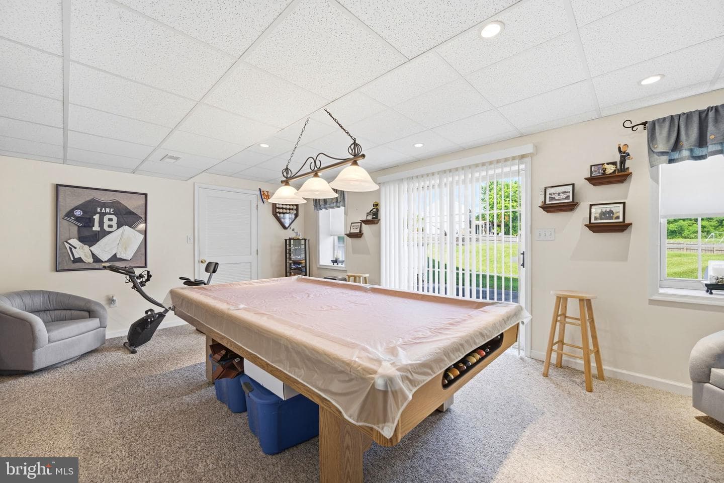 101 White Doe Drive photo 66