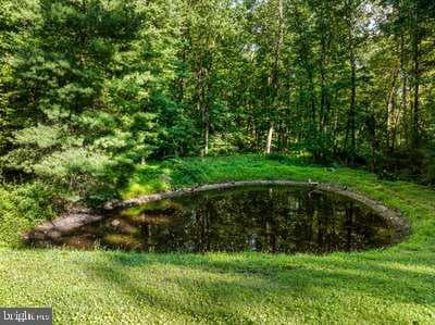 781 Fairview Road photo 13