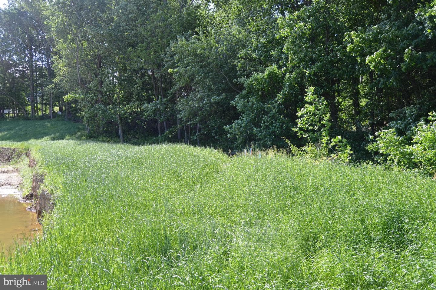 118 Foragers Lane photo 26
