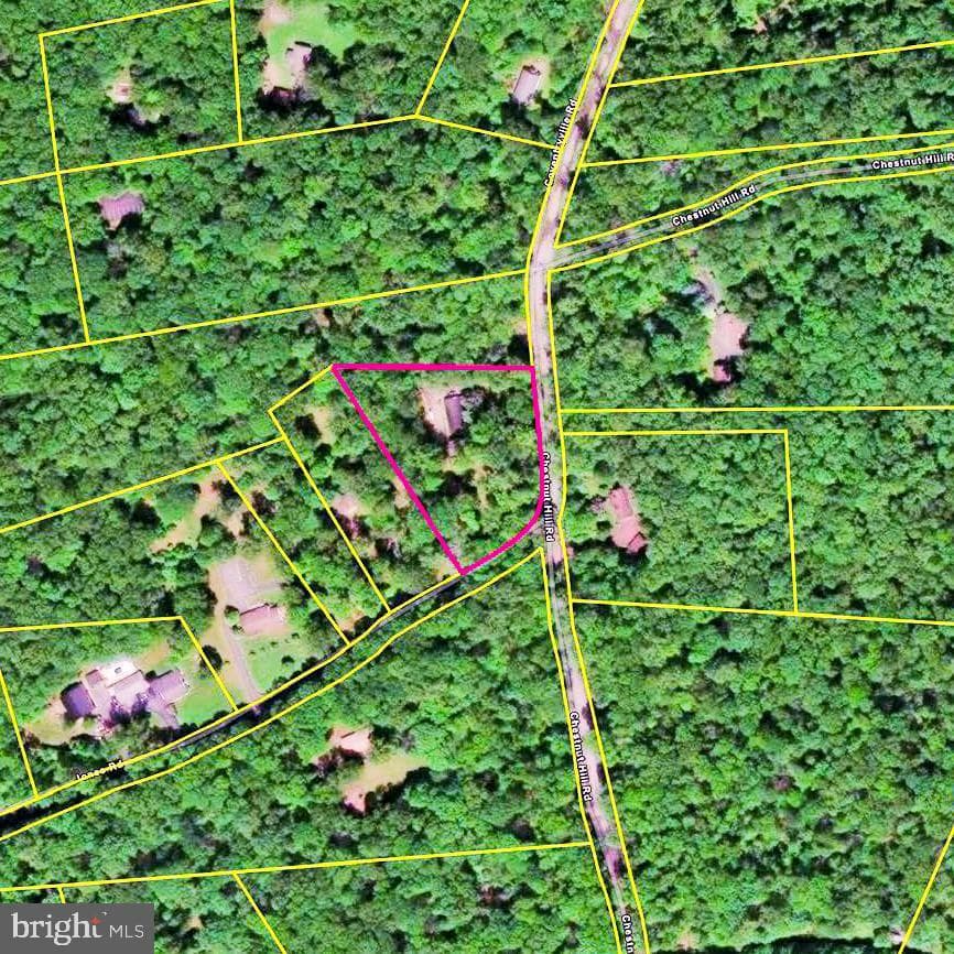 2253 Jones Road photo 6