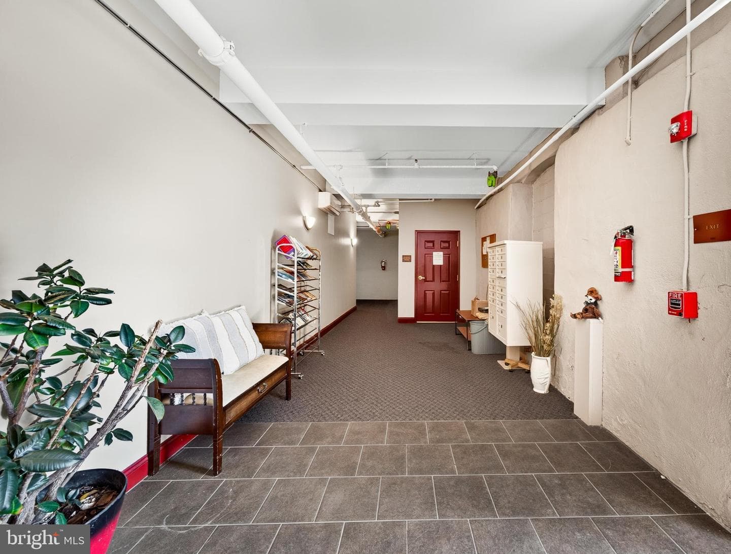 541 Washington Avenue ##202 photo 7