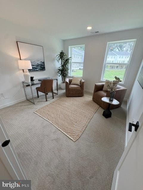 112 Camryn Court photo 12