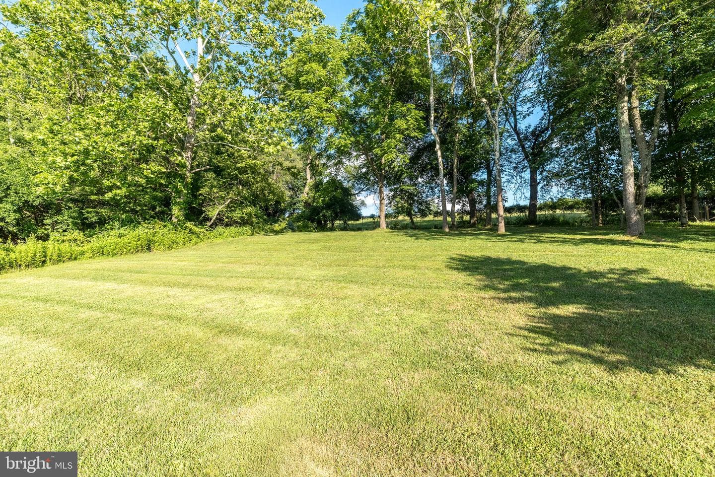 306 Liam Lane photo 56