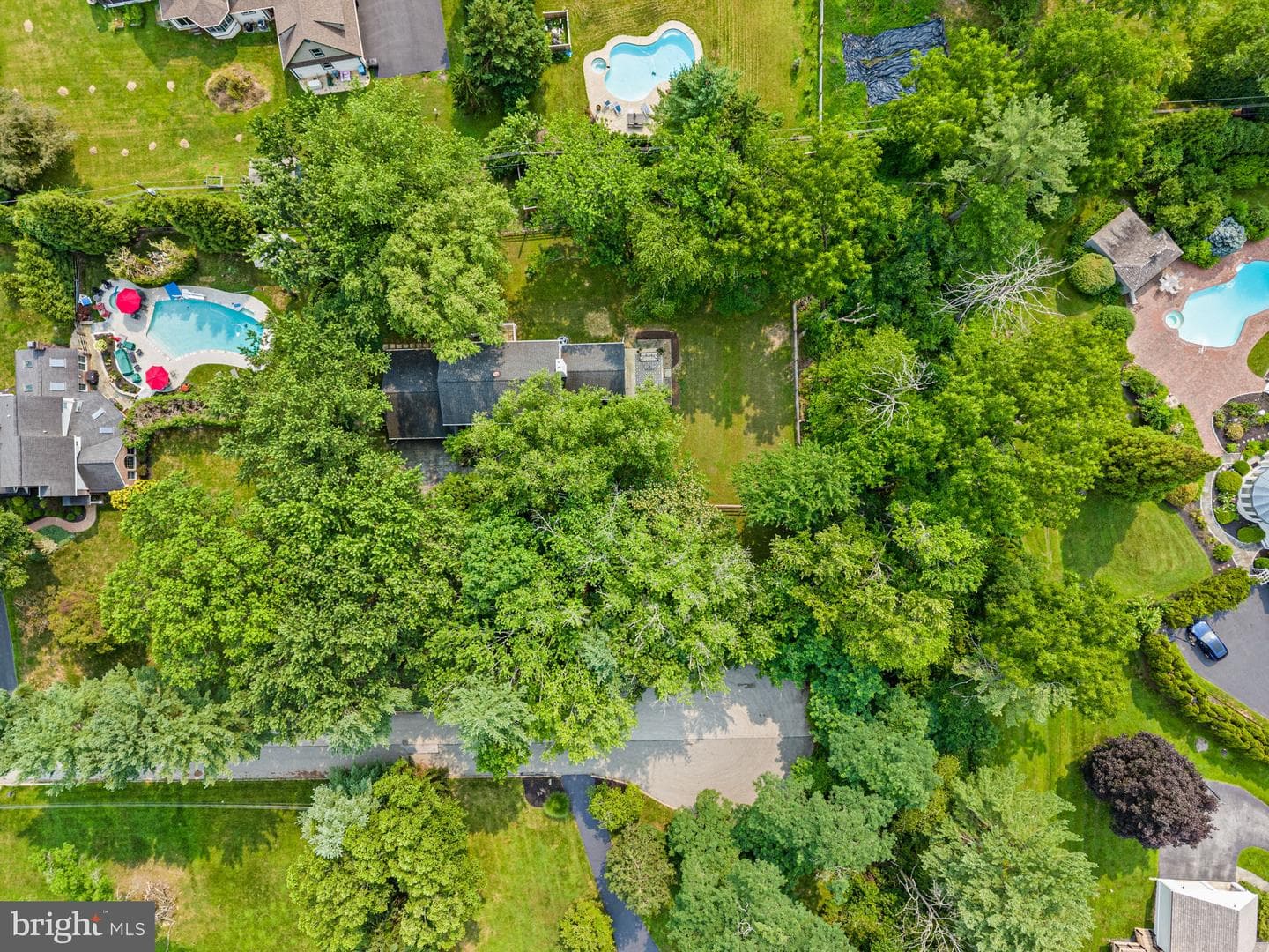 497 Black Swan Lane photo 37