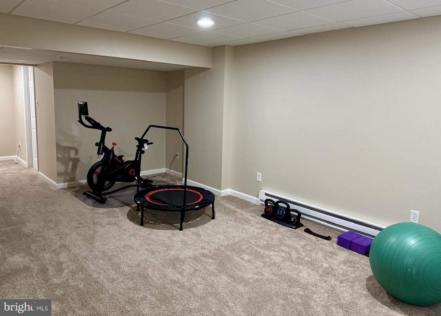 240 Torrey Pine Court photo 38
