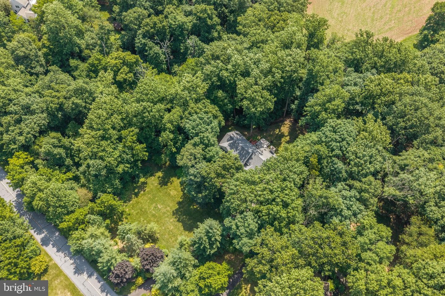 14 Mourar Drive photo 58