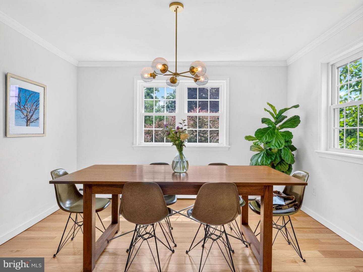 7 Carriage Drive photo 5
