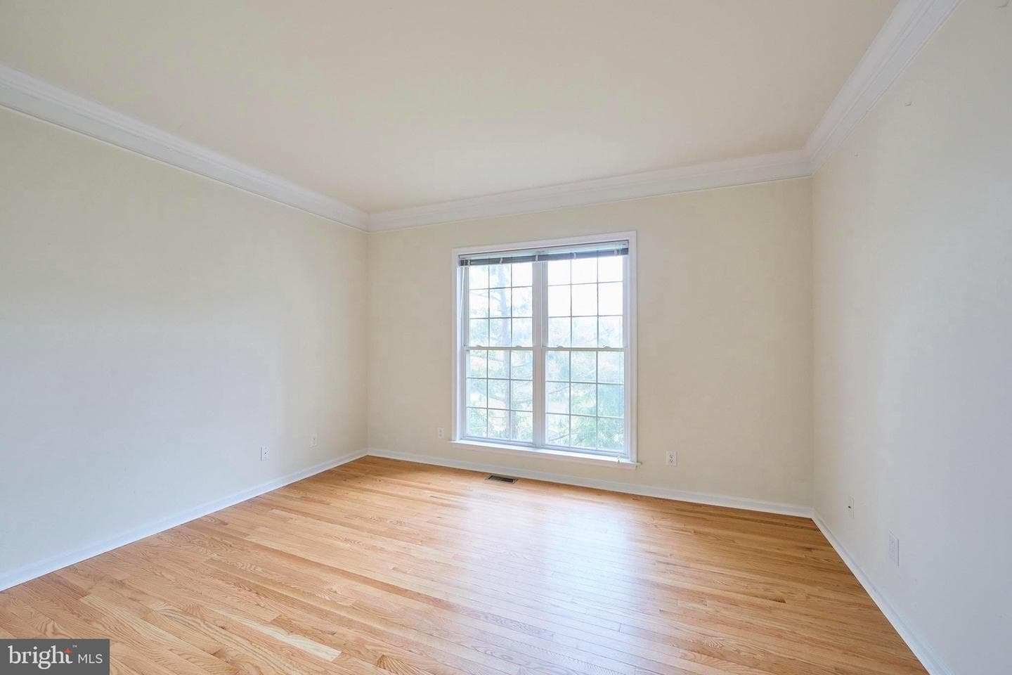 184 Magnolia Drive photo 17