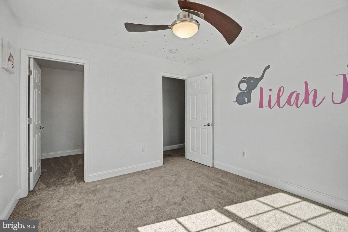 13 Pheasant Hill Drive photo 50