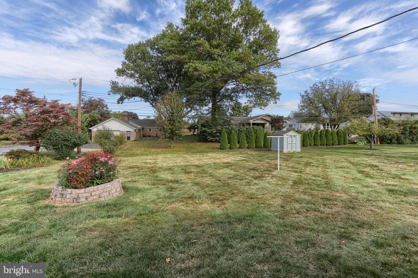 81 Locust Avenue photo 23