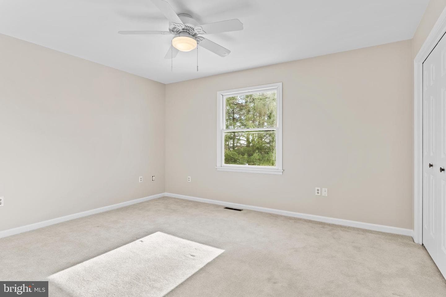 2415 W Bayberry Drive photo 17