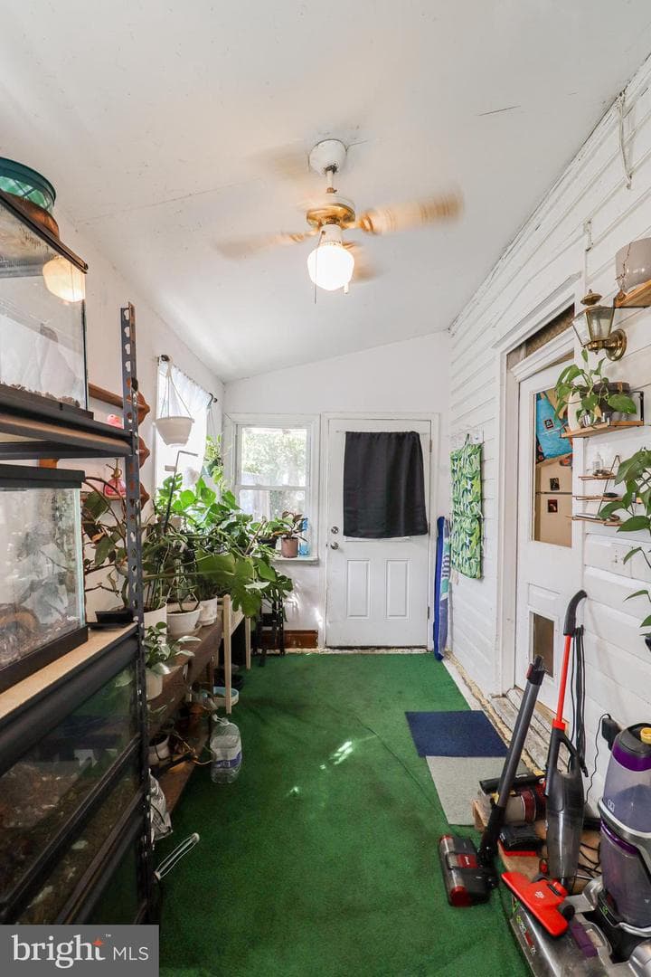 54 Nissley Street photo 10