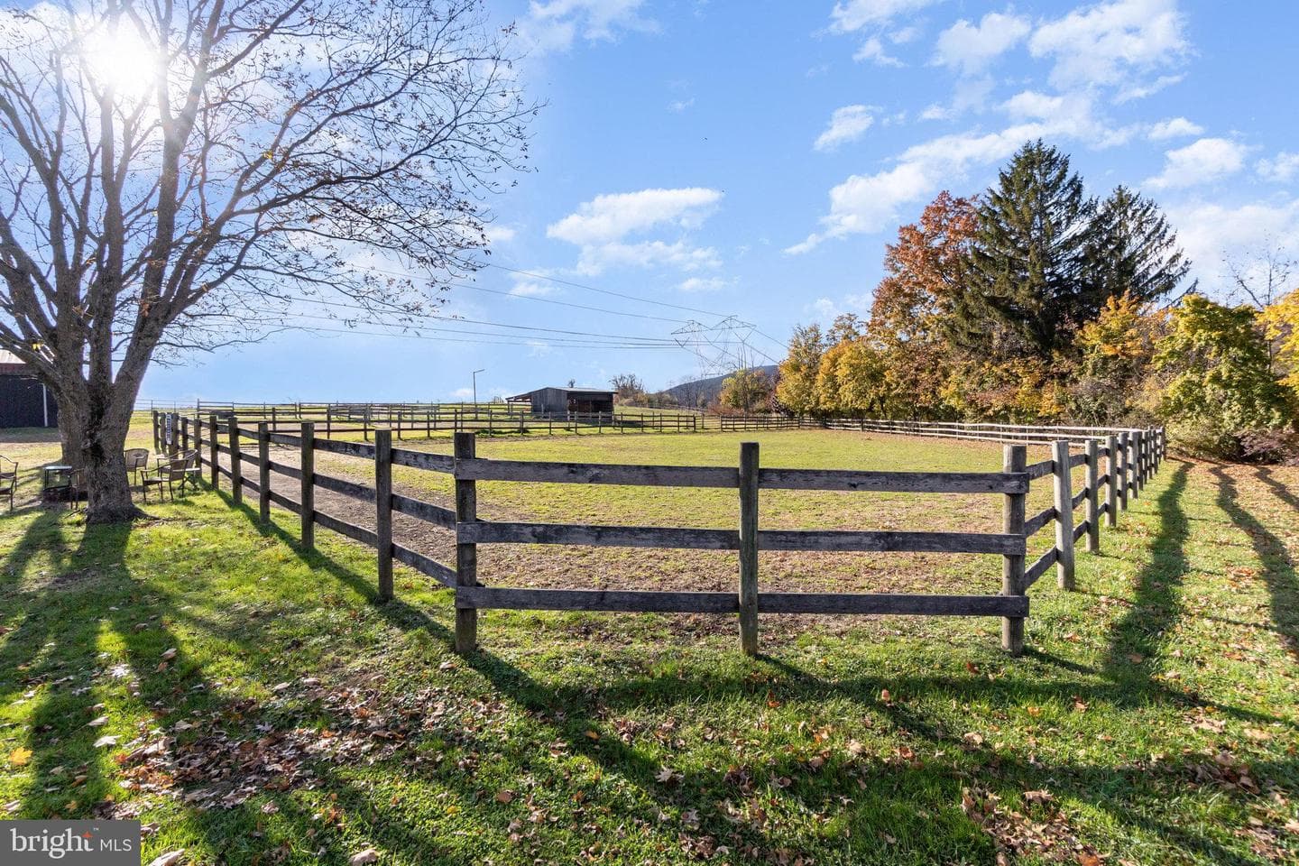 1008 Piketown Road photo 37