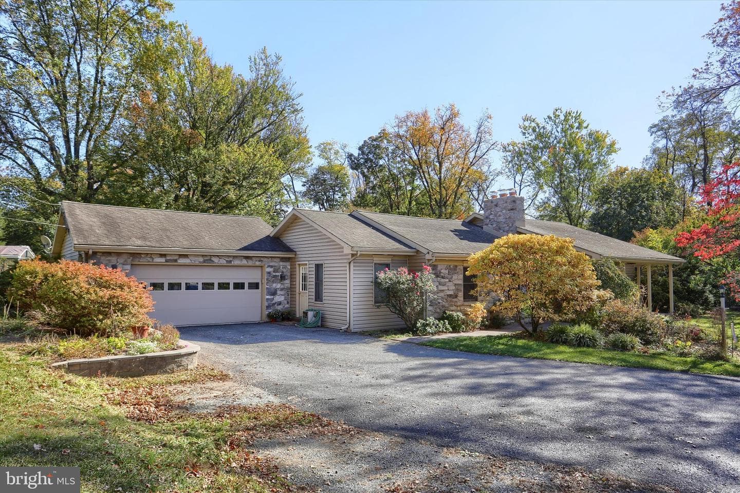 211 Frederick Street photo 2