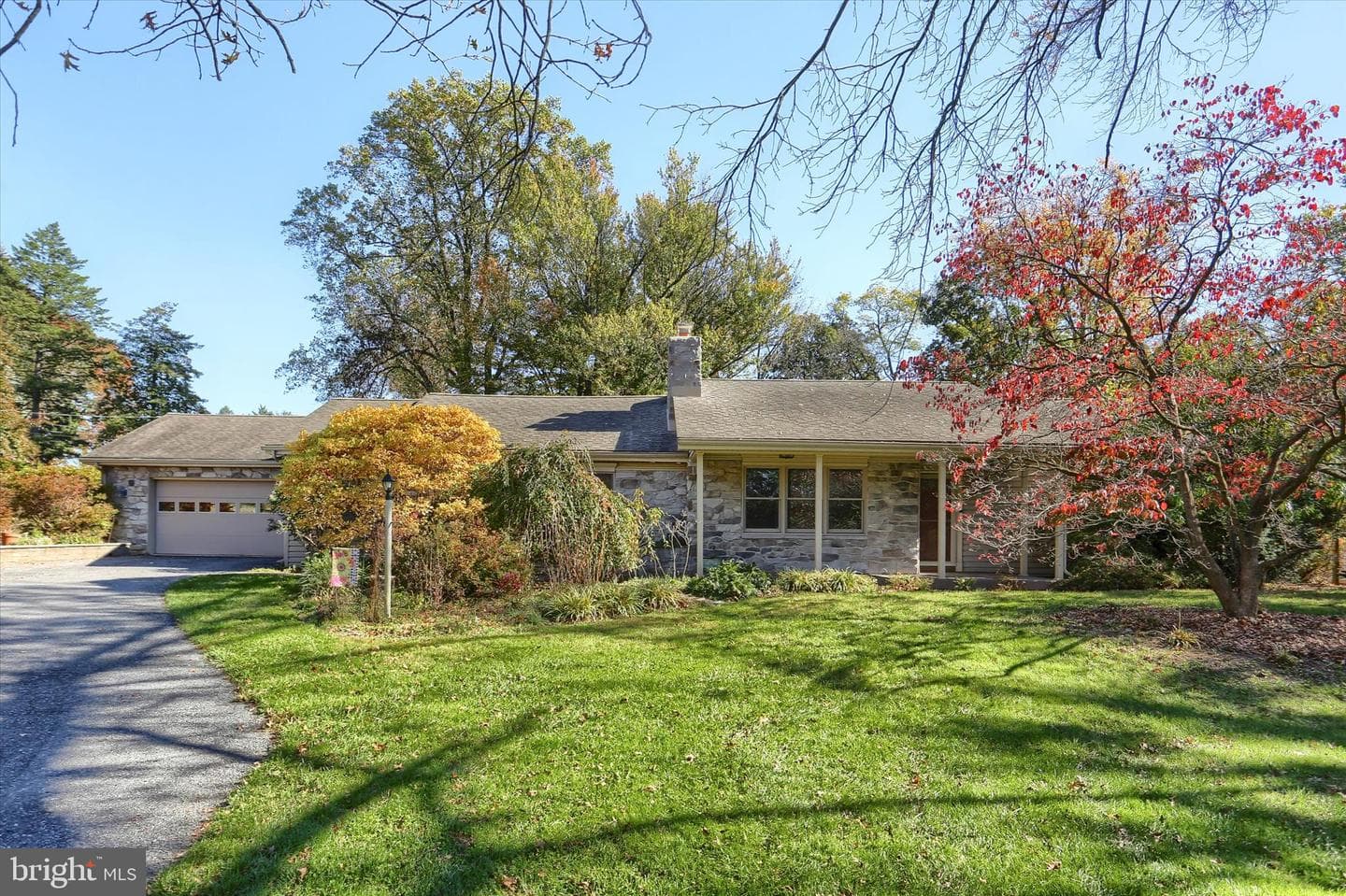 211 Frederick Street photo 4