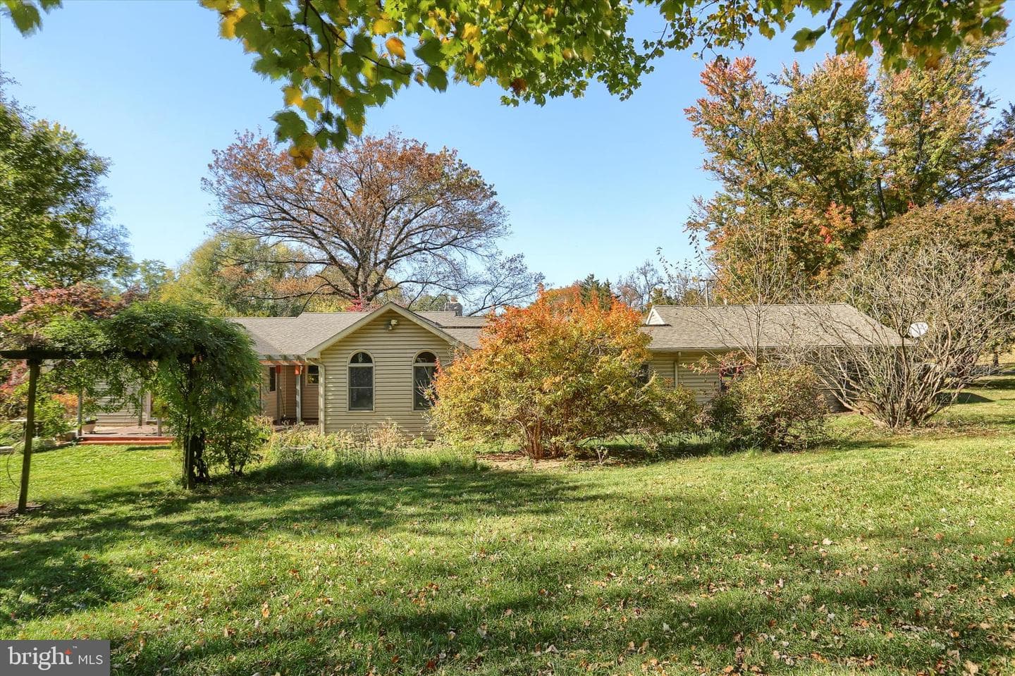 211 Frederick Street photo 49