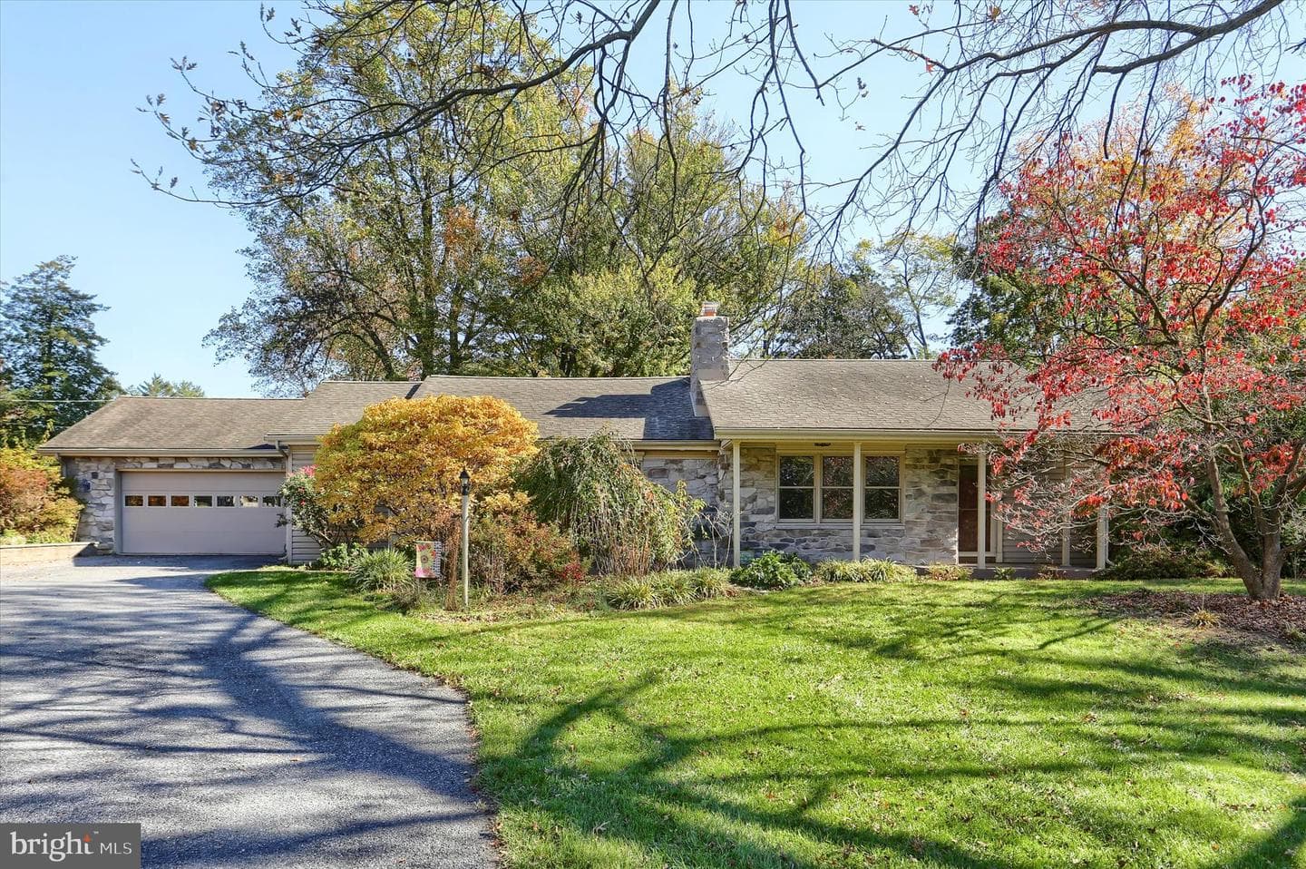 211 Frederick Street photo 5