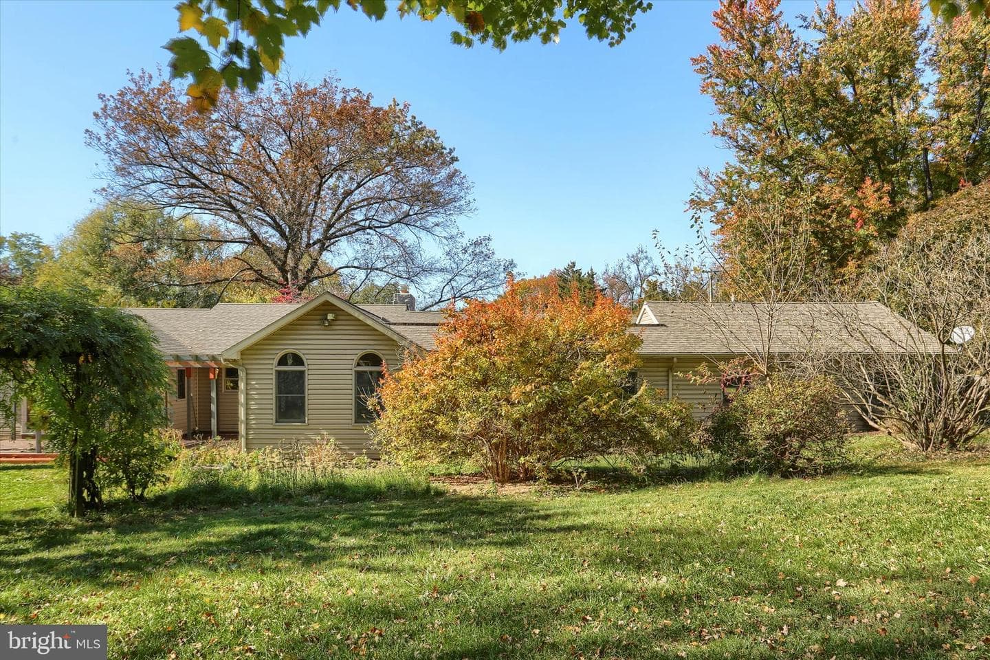 211 Frederick Street photo 50
