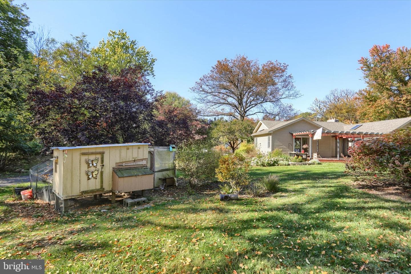 211 Frederick Street photo 53